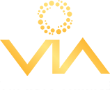 VIA Auto Finance